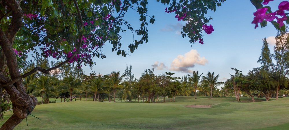 nelson-gay-why-barbados-golf